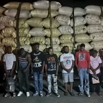 Ejército intercepta camión con 10 haitianos indocumentados ocultos